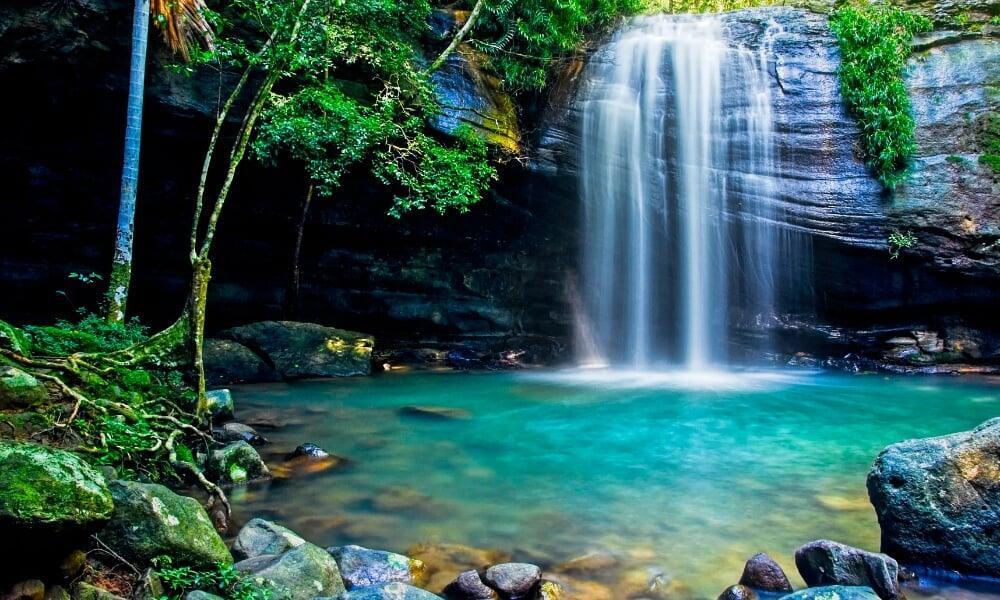 Waterfalls of the Sunshine Coast